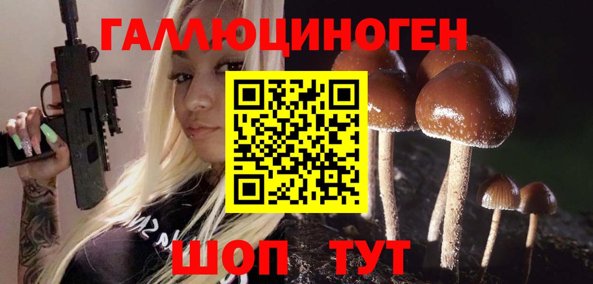 Псилоцибиновые грибы мицелий Кизляр